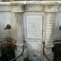 Particolare fontana della pigna - Rimini 5 - Paperoastro