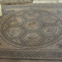 Domus del chirurgo, mosaico di "Orfeo tra gli animali" - Fringio - Rimini (RN)