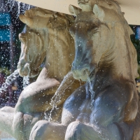 Rimini Fontana dei Quattro Cavalli Particolare - Laura Monetini