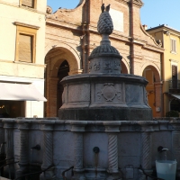 Fontana della Pigna - - RatMan1234 - Rimini (RN)
