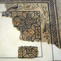 Mosaico domus chirurgo 2 - Paperoastro - Rimini (RN)