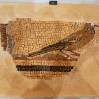 Mosaico domus chirurgo 3 - Paperoastro