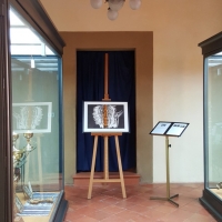 Rivoluzione. Museo diocesano d'Arte sacra di Sarsina 02 - Marco Musmeci - Saludecio (RN)