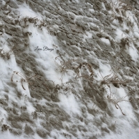 La Rocca e la Galaverna....ghiaccio sulla neve100 - Larabraga19 - Montefiore Conca (RN)