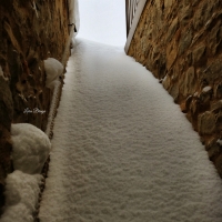 La Rocca e la neve42 - Larabraga19