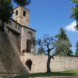 La Porta del Castello. 23 - Marco Musmeci