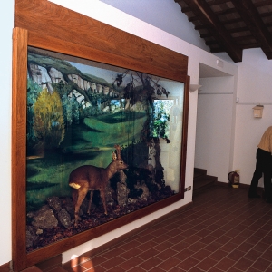 Gemmano | Museo naturalistico della riserva naturale orientata by |autore sconosciuto|