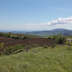 Novafeltria, countryside photo by pa