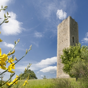 Pennabilli | Bascio, la Torre photo by Paritani