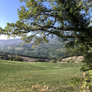 Landscape between Montemaggio a Sant’Igne (S.Leo) by Francesca Pasqualetti