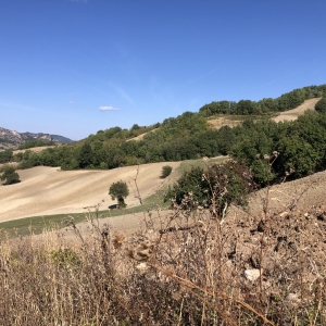 Landscape between Montemaggio a Sant’Igne (S.Leo) photo by Francesca Pasqualetti