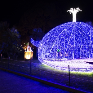 Installazione luminosa per la manifestazione natalizia Luci d'artista a Salerno - Simone Antonazzo / ENIT SpA