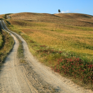 Crete Senesi - Alessandro Chiarini