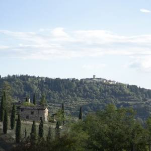 View of Radda in Chianti and the surrounding landscape - Simone Antonazzo / ENIT SpA