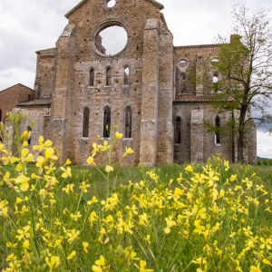 Abbazia di San Galgano, facciata - ENIT SpA