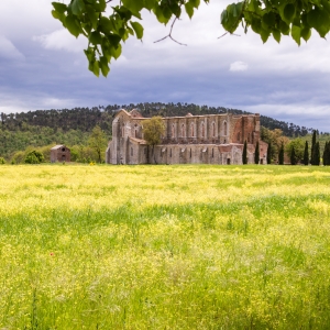 Abbazia di San Galgano - ENIT SpA