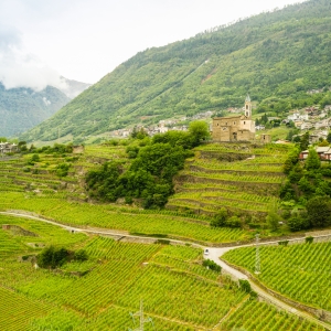 La Via dei Terrazzamenti nei pressi di Montagna in Valtellina; sullo sfondo, la Chiesa di Sant'Antonio Abate - ENIT SpA