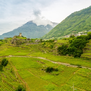 La Via dei Terrazzamenti nei pressi di Montagna in Valtellina; sullo sfondo, i resti di Castello Grumello e la Chiesa di Sant'Antonio Abate - ENIT SpA