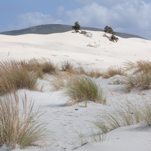 Dune di Porto Pino - Simone Antonazzo / ENIT SpA