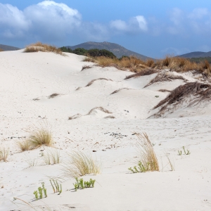Dune di Porto Pino - Simone Antonazzo / ENIT SpA