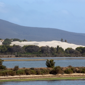 Dune di Porto Pino - Simone Antonazzo / ENIT SpA