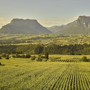 Bleggio Inferiore - farmland - Trentino Sviluppo S.p.A. - Carlo Baroni