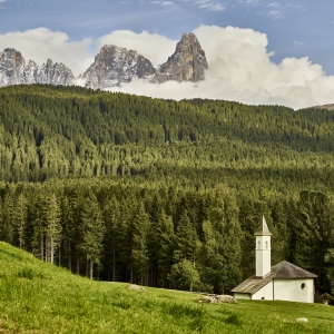 Paneveggio Forest and chiesa dell'Assunta - Trentino Sviluppo S.p.A. - Carlo Baroni