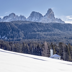 Paneveggio Forest and chiesa dell'Assunta - Trentino Sviluppo S.p.A. - Carlo Baroni