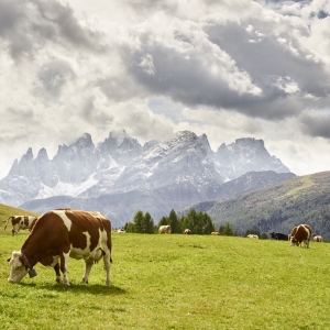 Pala Group seen from Fuciade - Trentino Sviluppo S.p.A. - Carlo Baroni