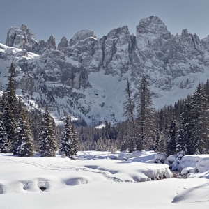 Pala Group - Trentino Sviluppo S.p.A. - Carlo Baroni