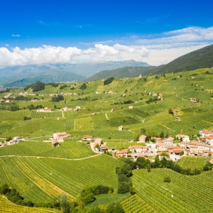 Colline del Prosecco di Conegliano e Valdobbiadene - ENIT SpA