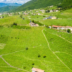 Colline del Prosecco di Conegliano e Valdobbiadene - ENIT SpA