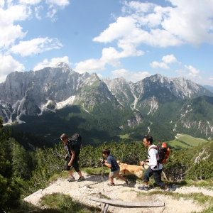 Alpe Adria Trail - Mate Image