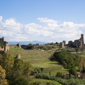 Panoramic view with the ruins of the Castle of Rivellino and St Peter's Basilica, Tuscania - Simone Antonazzo / ENIT SpA